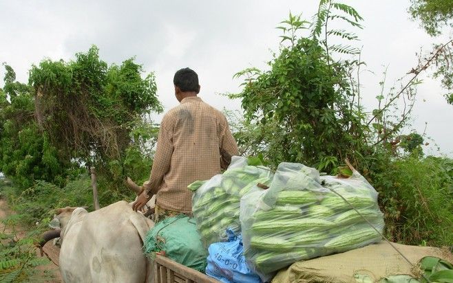 Cambodja ziet brood in stijgende voedselprijzen. Foto IPS