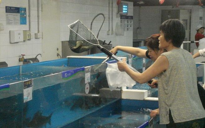 CHENGDU – Huisvrouwen vissen in een bak naar de smakelijkste exemplaren in een supermarkt in Chengdu. Ook in China kampen huishoudens met sterk gestegen prijzen voor het dagelijks voedsel. Foto A. Fransen.