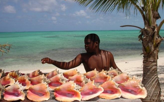 Aan het strand wordt vers gevangen ”conch” verkocht. Toeristen zijn verzot op dit overigens beschermde schelpdier. - Foto’s Marius Bremmer