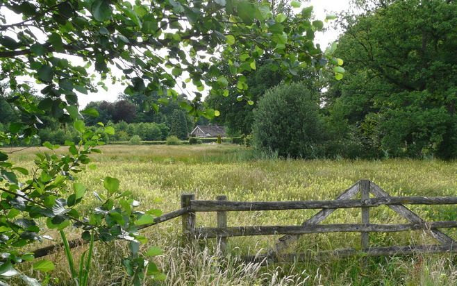 LEUSDEN – De wandelroute van Huis ter Heide naar Leusden loopt langs veel provinciale wegen. Toch valt er af en toe ook een weids natuurgebied met een idyllisch boerderijtje te bewonderen. Foto RD