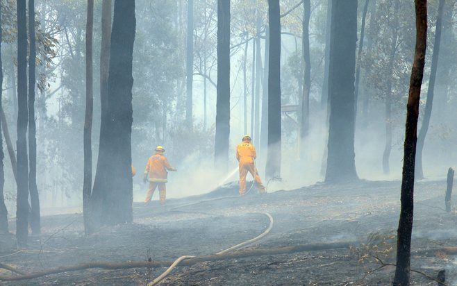 ALEXANDRIA - De Australische politie onderzoekt meldingen van nieuwe brandstichtingen in de al zwaar getroffen deelstaat Victoria. Foto EPA