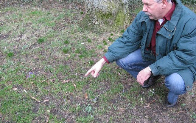 Museumdirecteur Eef Peeters wijst in Oosterbeek de locatie aan waar een of meer soldaten begraven zouden liggen. Foto RD