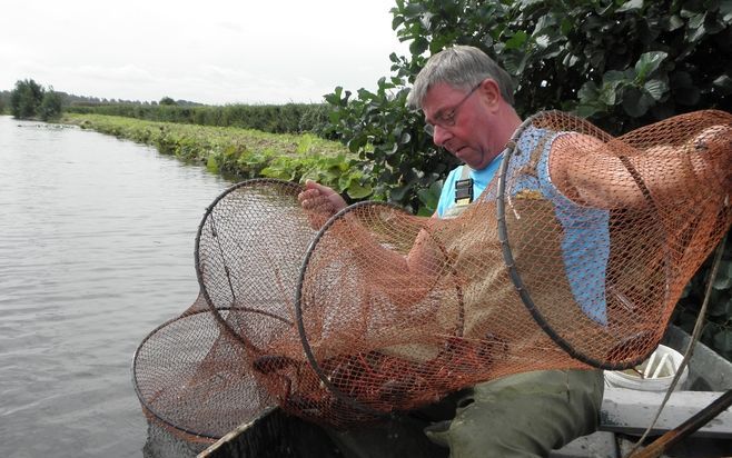 WADDINXVEEN – Visser Hans van der Laan vangt tegenwoordig kreeften in plaats van palingen in zijn fuiken in de polder Bloemendaal tussen Waddinxveen en Gouda. Foto RD