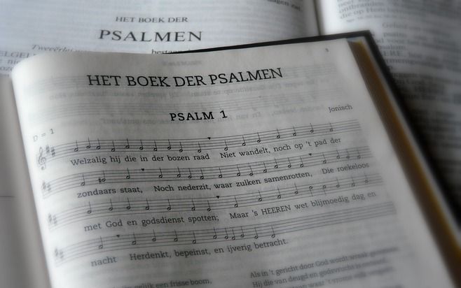 „Is de ervaring van Gods volk bepalend? Bepalend is welke onberijmde Schriftwoorden aan de psalmregels ten grondslag liggen.” Foto RD, Anton Dommerholt