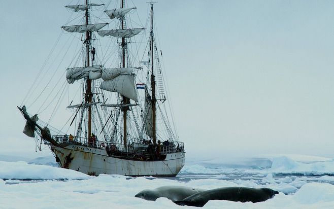 LONDEN - Het ijs op de Noordpool zal in de komende tien jaar zo snel smelten, dat de zee die er ontstaat in de zomer bevaarbaar zal zijn. Het duurt nog twintig jaar voor al het ijs in de zomermaanden verdwenen zal zijn. Dat heeft een prominente Britse ond