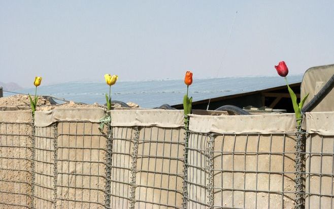 DEN HAAG – Twee Nederlandse militairen zijn dinsdag tijdens een patrouille in de Afghaanse provincie Uruzgan gewond geraakt door een aanslag met een geïmproviseerd explosief (IED). Een van hen raakte zwaargewond. Foto ANP