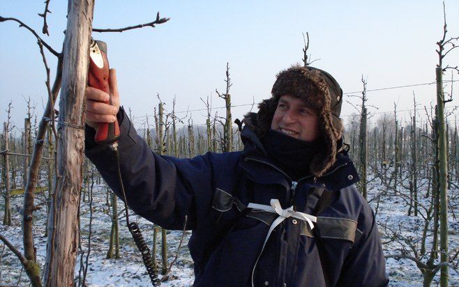 ECK EN WIEL – André Timmer heeft geen last van de winterse kou als hij de perenbomen snoeit. „Doordat we niet meer handmatig snoeien, maken we behoorlijk tempo. Daardoor sta je niet de hele tijd stil.” Foto RD