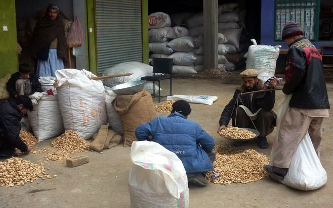 KUNDUZ – ZOA helpt Afghaanse boeren bij de kweek van vrucht- en notenbomen. Vanouds produceert Afghanistan de beste amandelen ter wereld. Op de foto: amandelhandel in Kunduz. Foto EPA