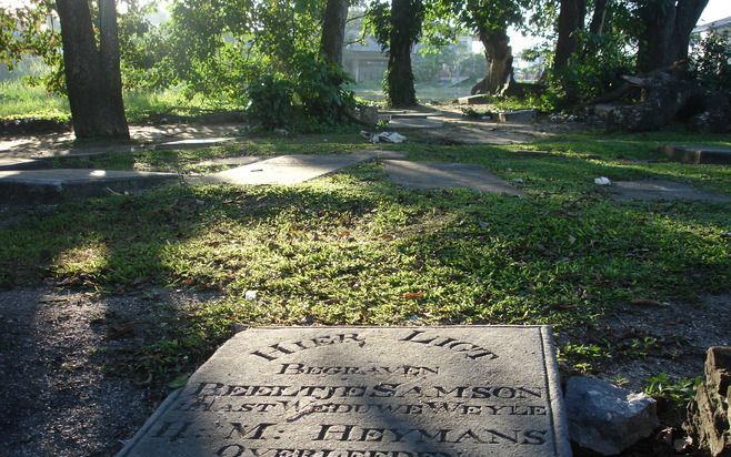 PARAMARIBO – Aan de Kwattaweg in Paramaribo ligt de Hoogduitse joodse begraafplaats. De dodenakker stamt uit 1700. Veel zerken hebben echter een nog leesbare inscriptie. Sommige in het Nederlands. Foto Marius Bremmer