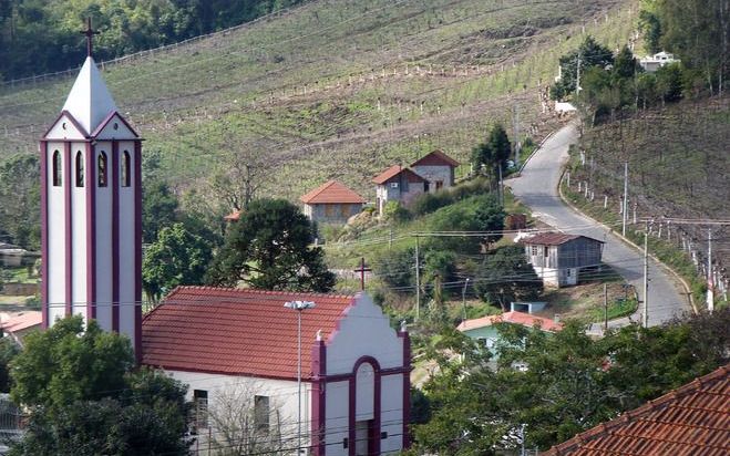 De Vale dos Vinhedos (vallei van de wijngaarden) rond de plaats Bento Gonçalves is verreweg het belangrijkste wijngebied in het opkomende wijnland Brazilië. Foto EPA