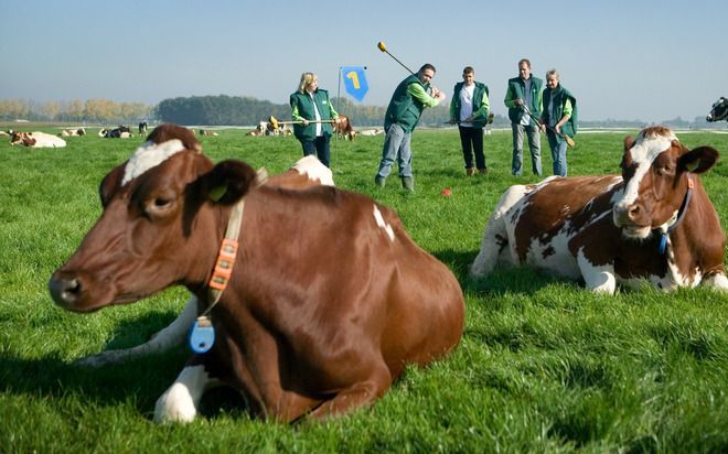 DEN HAAG - Het ministerie van Landbouw worstelt met het opstellen van een dierenwelzijnsindex, die komend jaar af moet zijn. Foto ANP