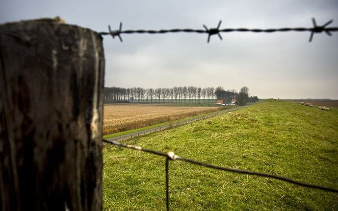 MIDDELBURG - Het Zeeuwse platteland. Foto ANP