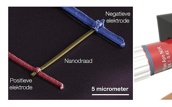 Een nanozonnecel produceert meer stroom dan een gewone zonnecel. beeld FOM-AMOLF