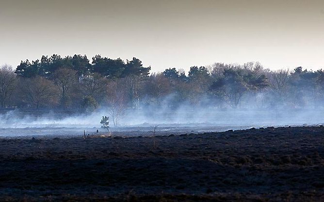 Natuurbrand dinsdag bij de Belgische grens. Foto ANP