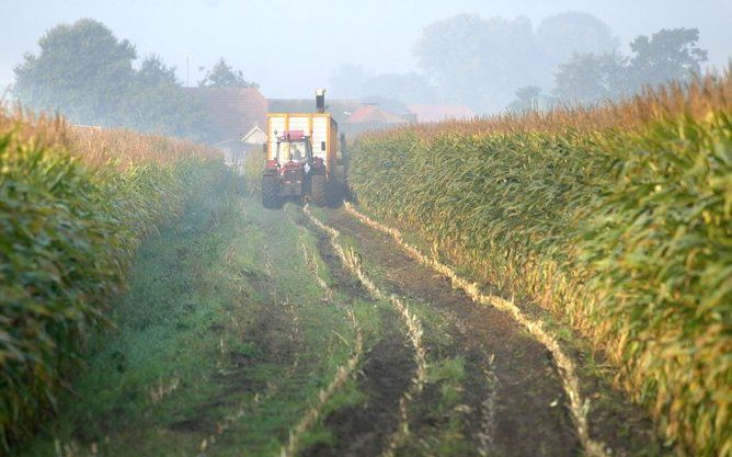 De Raad van State heeft woensdag de uitspraak over veldproeven met genetisch gemodificeerde mais opgeschort. Foto ANP