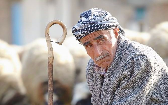 Een herder bij zijn schapen in het christelijke dorp Batnaya, in het noorden van Irak. De schijnbare vrede in het dorp is echter broos; soennitische radicalen in Mosul hebben het op de levens van christenen voorzien. Foto Jaco Klamer