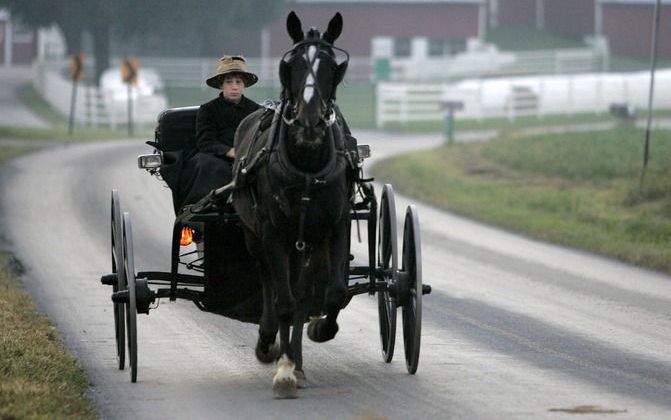 „Aan het leven van de Amish kunnen we een voorbeeld nemen.” Foto EPA