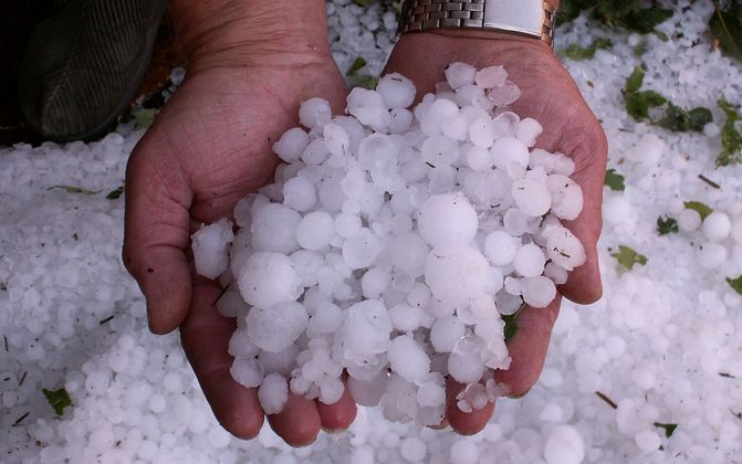 EIBERGEN - Vorige week zondat trof een onverwachte hagelbui Zuidoost-Nederland. Een vrou laat zien hoe groot de hagelstenen waren. Foto ANP