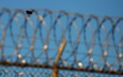 Tientallen voormalige gevangenen van de Amerikaanse terreurgevangenis op Guantànamo Bay hebben zich na hun vrijlating weer aangesloten bij de jihad, de heilige moslimoorlog tegen het Westen. Foto EPA