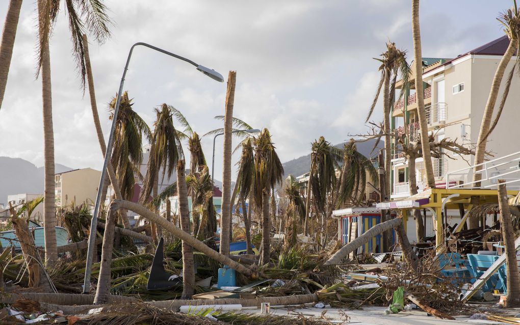 Philipsburg, zes dagen na orkaan Irma. beeld ANP