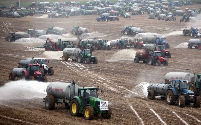 Belgische melkveehouders dumpten eerder al melk uit protest tegen de lage melkprijzen. Foto EPA