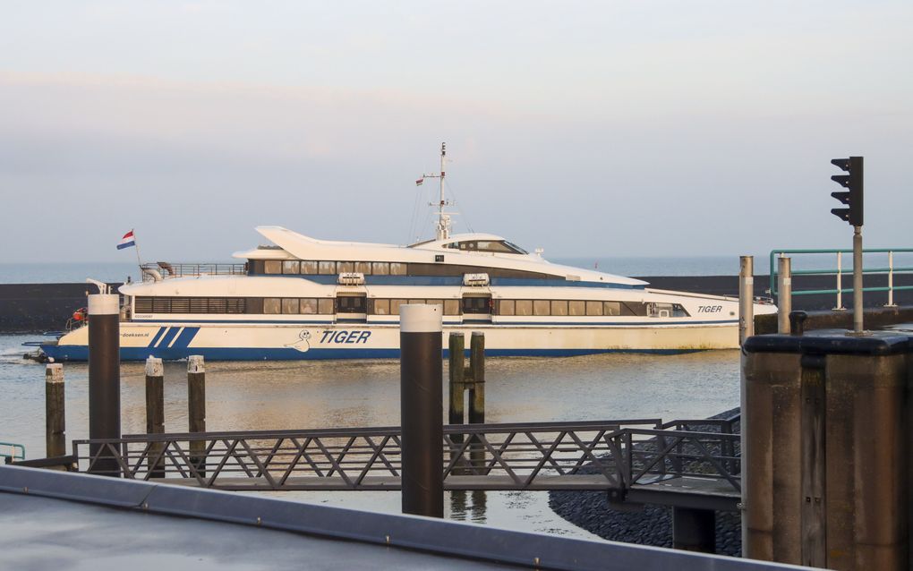 De snelboot Tiger van rederij Doeksen vaart de haven van Harlingen. De hulpdiensten zijn op zoek naar vermiste mensen na de aanvaring tussen de snelboot en een watertaxi tussen Terschelling en Vlieland. beeld ANP, Anton Kappers