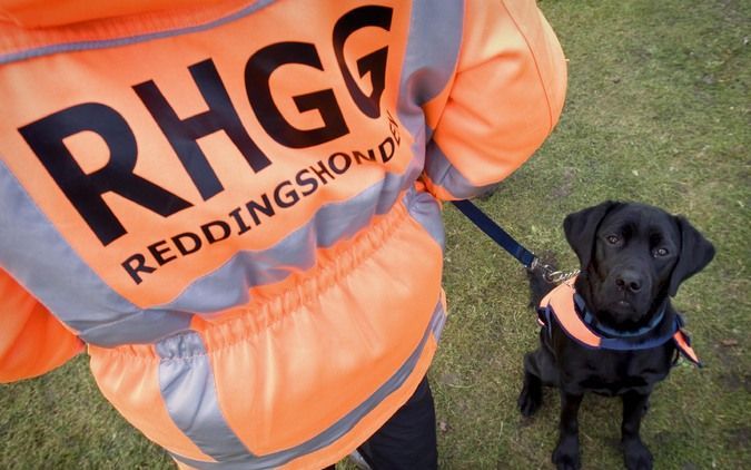 In Italië worden dit badseizoen 250 reddingshonden ingezet om mensen die dreigen te verdrinken te redden. Alle viervoeters hebben een speciale training gehad, meldt de Turijnse krant La Stampa op woensdag. Foto ANP