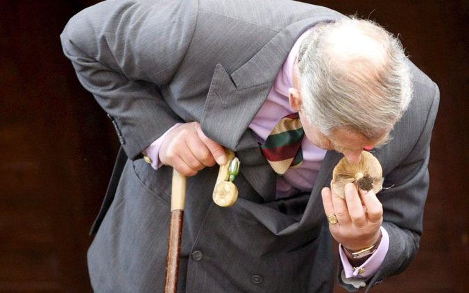 LONDEN – De Britse kroonprins Charles, op de foto ruikend aan een paddenstoel tijdens een officieel bezoek aan Japan vorige maand, is vandaag 60 jaar geworden. Foto EPA