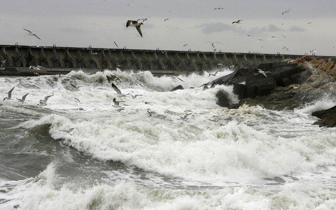 LONDEN - De zware storm Johanna houdt maandag huis in Groot-Brittannië. Door rukwinden met snelheden tot 130 kilometer per uur werden bomen ontworteld, wegen geblokkeerd en zaten duizenden huishoudens zonder stroom. De autoriteiten vrezen voor overstromin