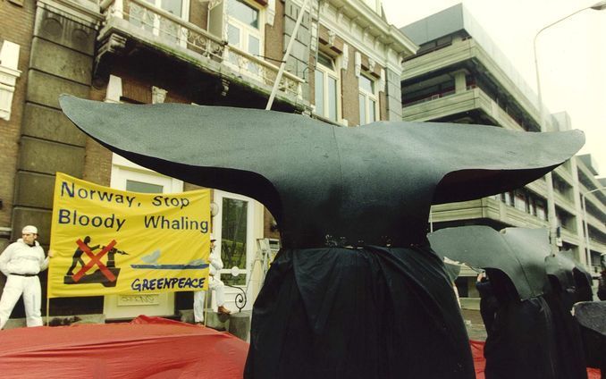 Twee activisten van de milieuorganisatie Greenpeace, die in Japan een zwarte markt in walvisvlees aan de kaak stelden, kijken aan tegen een gevangenisstraf tot tien jaar. Foto ANP