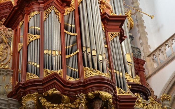 Het rugwerk van het Müllerorgel in de Bavo. Foto RD.