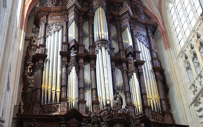 Sint-Janskathedraal 's Hertogenbosch. Beeld RD