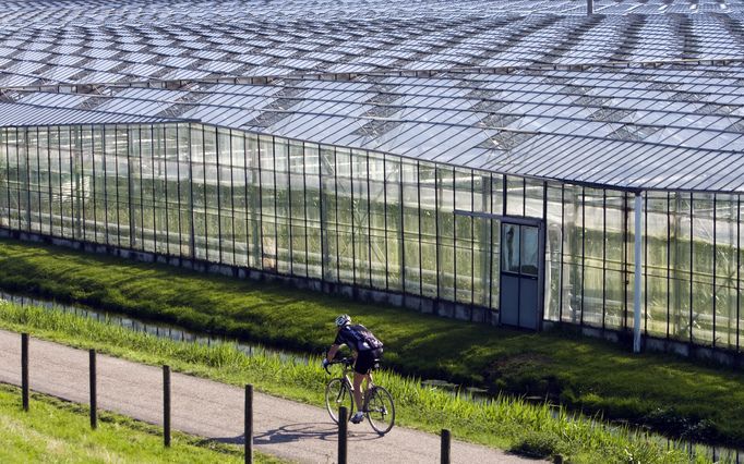 De gemeente hoopt dat meer leerlingen gaan kiezen voor een studierichting die leidt tot werken in de tuinbouwsector. Foto ANP