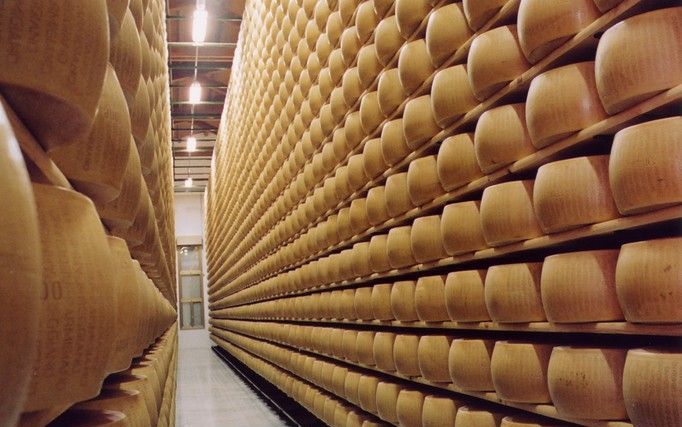 5. De kazen rijpen minstens een jaar op de planken in het pakhuis. Foto Consorzio del Formaggio Parmigiano-Reggiano