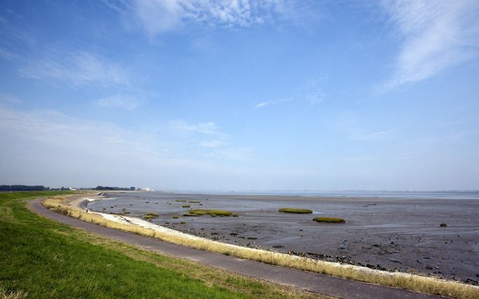 DEN HAAG – In de beslotenheid van de Trêveszaal werkt het kabinet aan een oplossing van het Westerscheldeconflict. Welk konijn de coalitie uit de hoge hoed gaat toveren, is nog volstrekt onduidelijk. Foto ANP