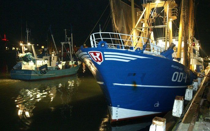 Vissersboten liggen bij de visafslag van IJmuiden. Foto ANP