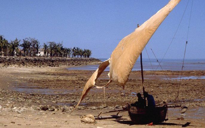 ANTANANARIVO - De exotische stranden aan de zuidkust van de tropische eilandstaat Madagaskar zijn bedekt met een pikzwarte, kleverige smurrie na de averij van een Turkse tanker vorige week. De Gulser Ana verloor zoveel diesel, olie en fosfaat, dat veel ze