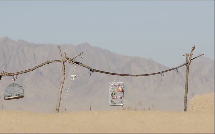 Een Australische militair is maandag om het leven gekomen door een vuurgevecht in de zuidelijke Afghaanse provincie Uruzgan. Foto ANP