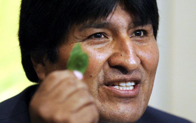 Na een korte speech tijdens een conferentie van de Verenigde Naties woensdag in Wenen, nam de Boliviaanse president Evo Morales voor het oog van de ruim honderd aanwezige regeringsdelegaties een cocablad uit zijn tas en begon er genoeglijk op te kauwen. F