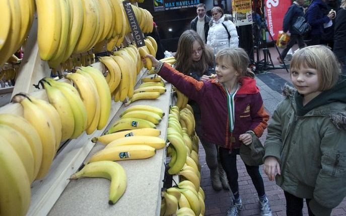 EU bereikt bananenakkoord met Latijns-Amerika. Foto ANP