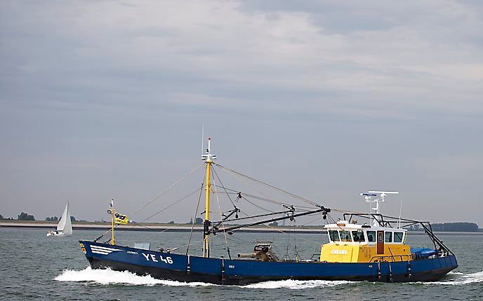 Oosterschelde. beeld ANP