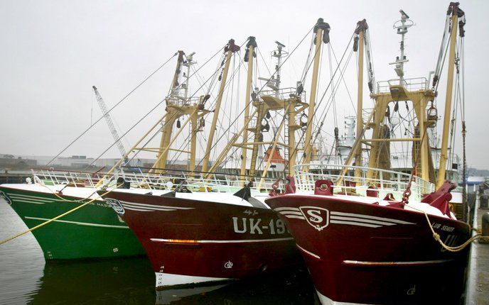 IJMUIDEN - Kotters in de haven van IJmuiden. Vissers krijgen extra subsidie om stil te liggen, de vis beter te verkopen en energiezuiniger motoren te installeren. Foto ANP