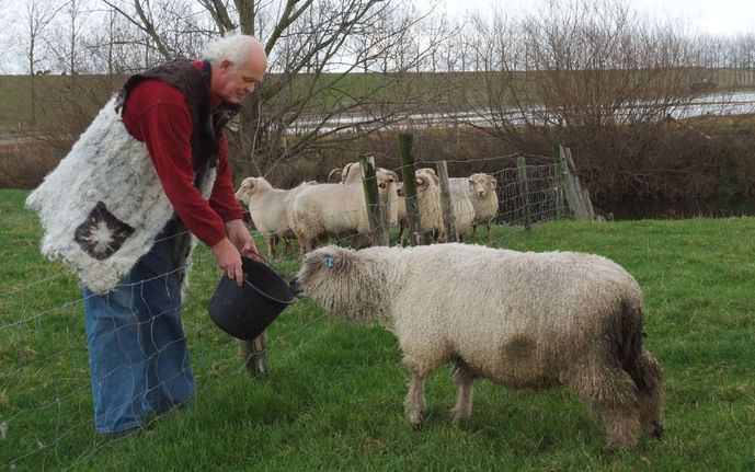 HOOFDPLAAT – Schapenfokker Jan van Erp uit Hoofdplaat voert zijn schapen, terwijl op de achtergrond machines bezig zijn met de inrichting van het natuurcompensatieproject. De natuurcompensatie bedreigt het voortbestaan van de schapenboerderij. De aanleg v