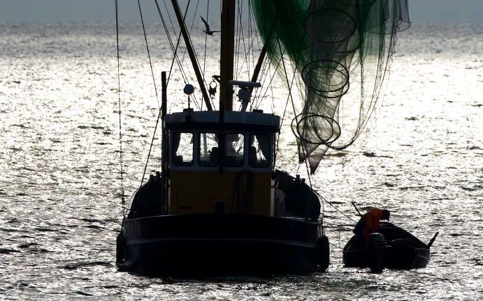 Visserij op het IJsselmeer. beeld ANP