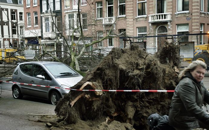 Vijf doden in weekeindverkeer. - Foto ANP