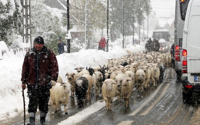 WARSCHAU/PRAAG (ANP/RTR) – Zeker drie inwoners van Polen zijn om het leven gekomen als gevolg van het extreme winterweer. Dat meldden Poolse media donderdag. Foto EPA