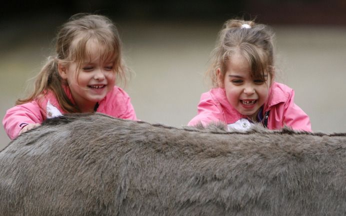 ROTTERDAM - Een schuur van een kinderboerderij in Rotterdam is in vlammen opgegaan. Foto: Kinderen aaien een ezel. Foto ANP