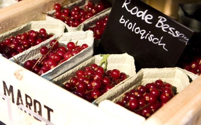 „Biologische landbouw heeft in ontwikkelingslanden tot drie keer hogere opbrengsten en levert in de rijke landen gemiddeld net zo veel op als gangbare landbouw.” Foto ANP