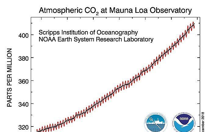 CO2-grafiek Mauna Loa (Hawaï). beeld NOAA