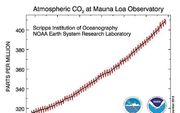 CO2-grafiek Mauna Loa (Hawaï). beeld NOAA